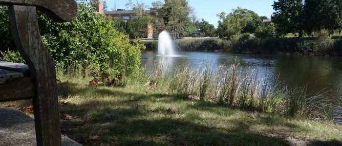 Fountain on Swan Lake, summer, UConn Storrs Campus.