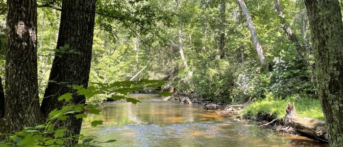 Mt. Hope River