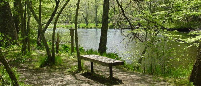 MerrowMeadow Bench at Merrow Park