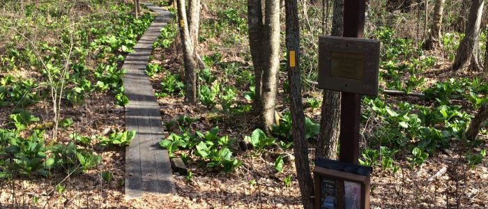 Entry to Dunham woods.