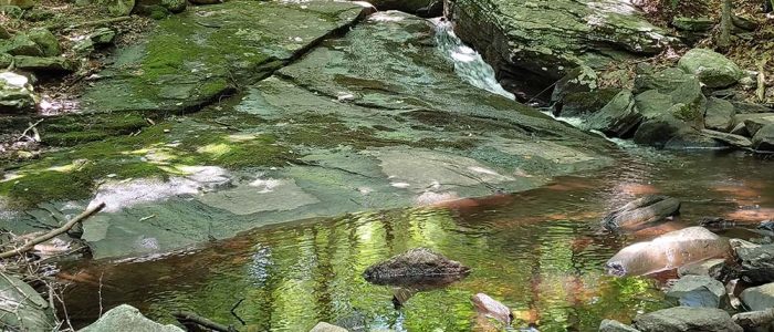 ChristopherScott_ShelterFalls2-small