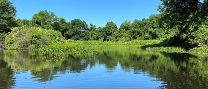 River Park