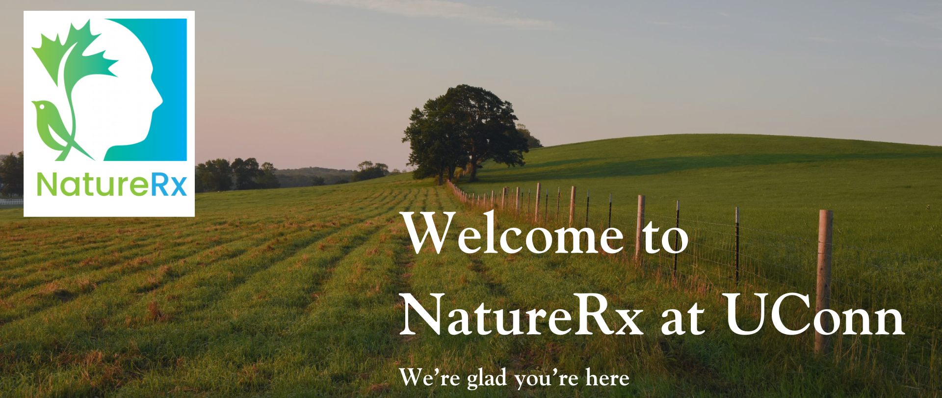 New Header for UConn NatureRx Homepage